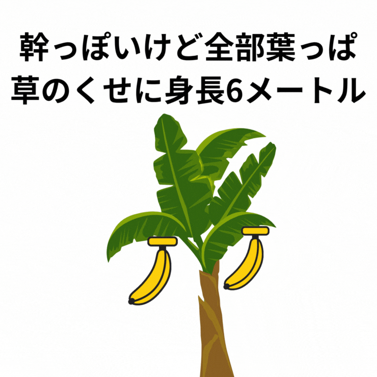 幹っぽいけど全部葉っぱ。草のくせに身長6メートル