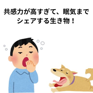 共感力が高すぎて、眠気までシェアする生き物